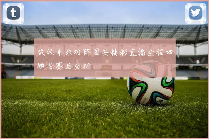武汉卓尔对阵国安精彩直播全程回顾与赛后分析
