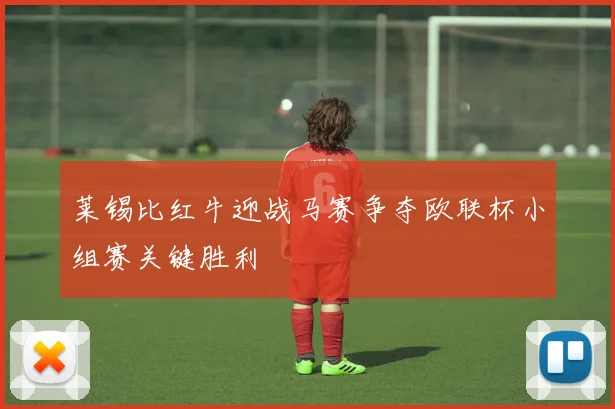 莱锡比红牛迎战马赛争夺欧联杯小组赛关键胜利